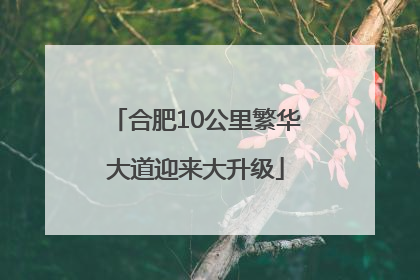 合肥10公里繁华大道迎来大升级